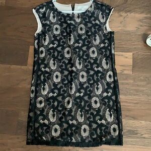 Black and Nude Loft Dress